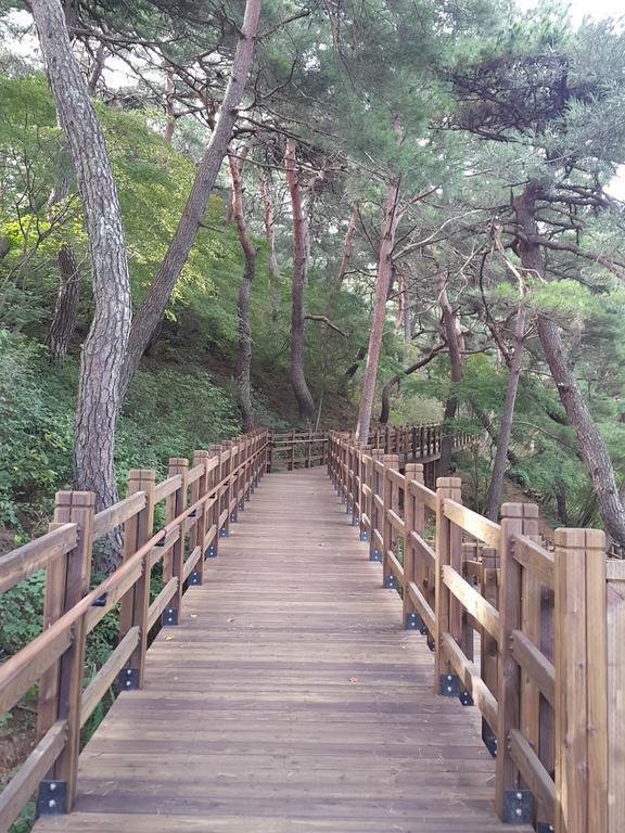 Pyeongchang River House Ngoại thất bức ảnh