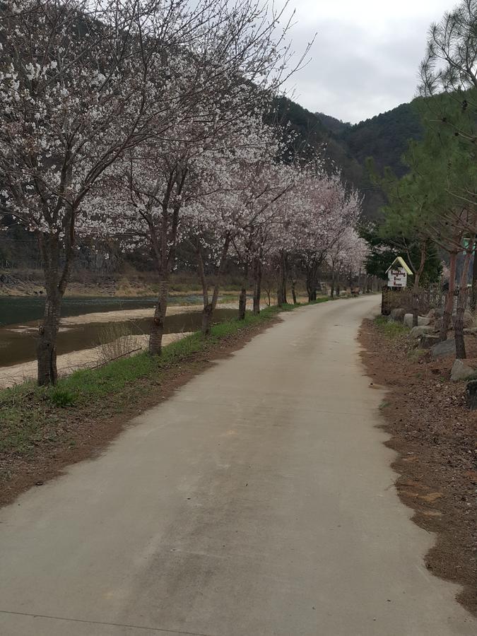 Pyeongchang River House Ngoại thất bức ảnh