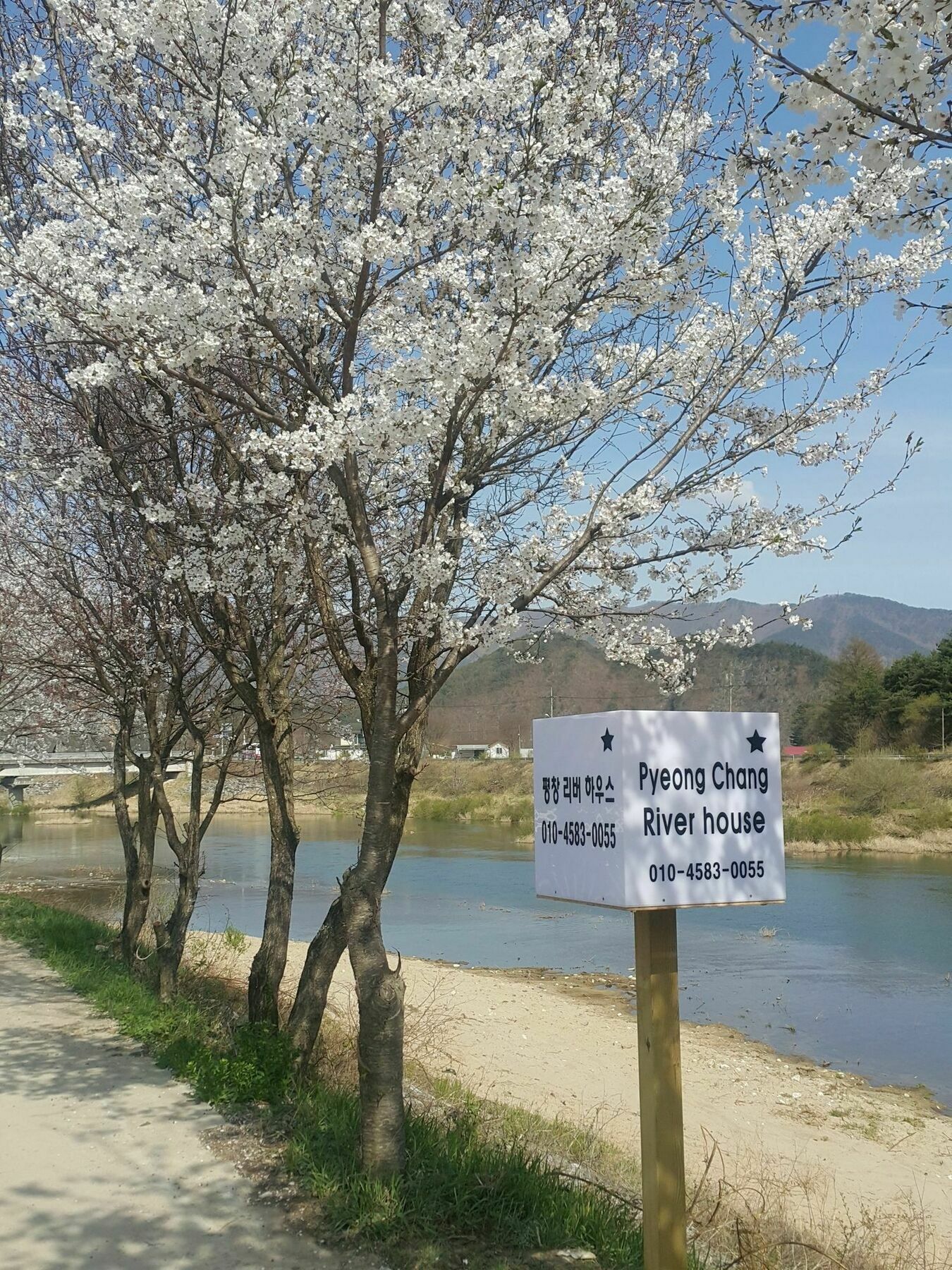 Pyeongchang River House Ngoại thất bức ảnh